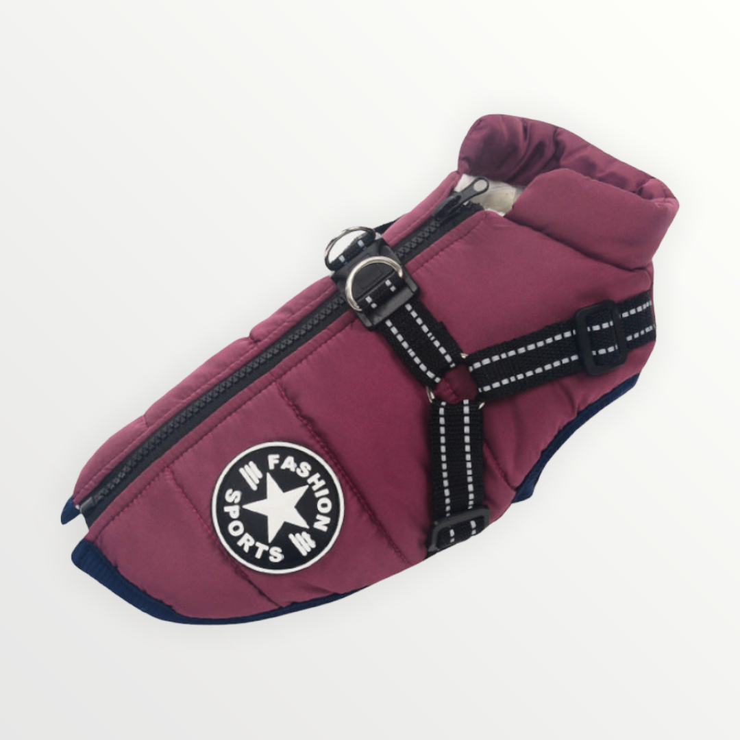 Hundejacke | Wind- & Wasserabweisend | Integriertes Geschirr | DoggyKönig