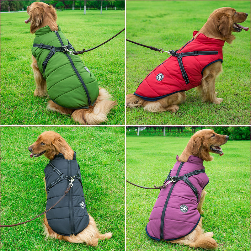 Hundejacke | Wind- & Wasserabweisend | Integriertes Geschirr | DoggyKönig