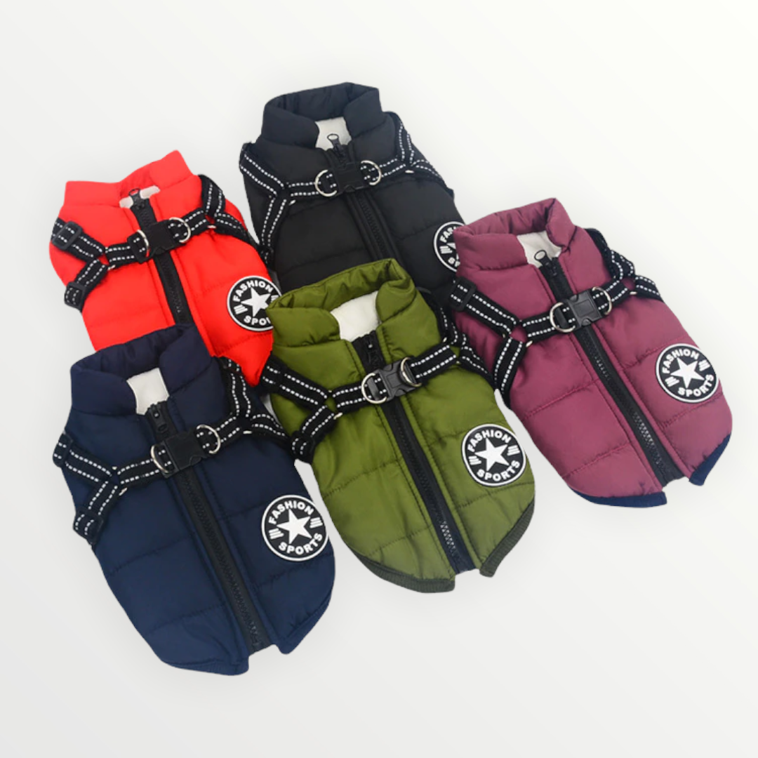 Hundejacke | Wind- & Wasserabweisend | Integriertes Geschirr | DoggyKönig