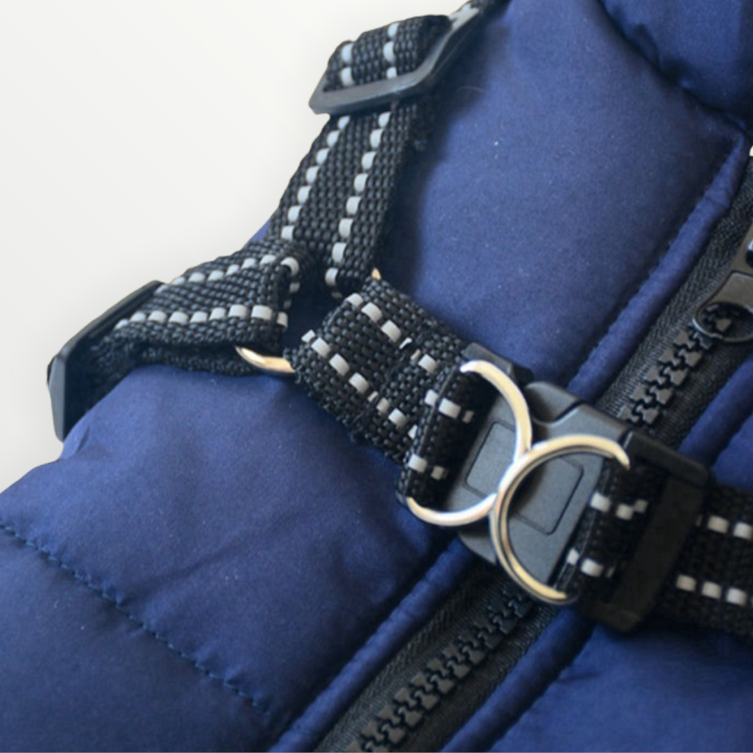 Hundejacke | Wind- & Wasserabweisend | Integriertes Geschirr | DoggyKönig