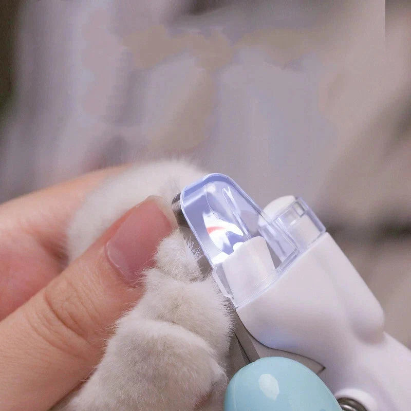 Hundekrallenschneider Haustier LED Edelstahl mit rutschfestem Griff 3
