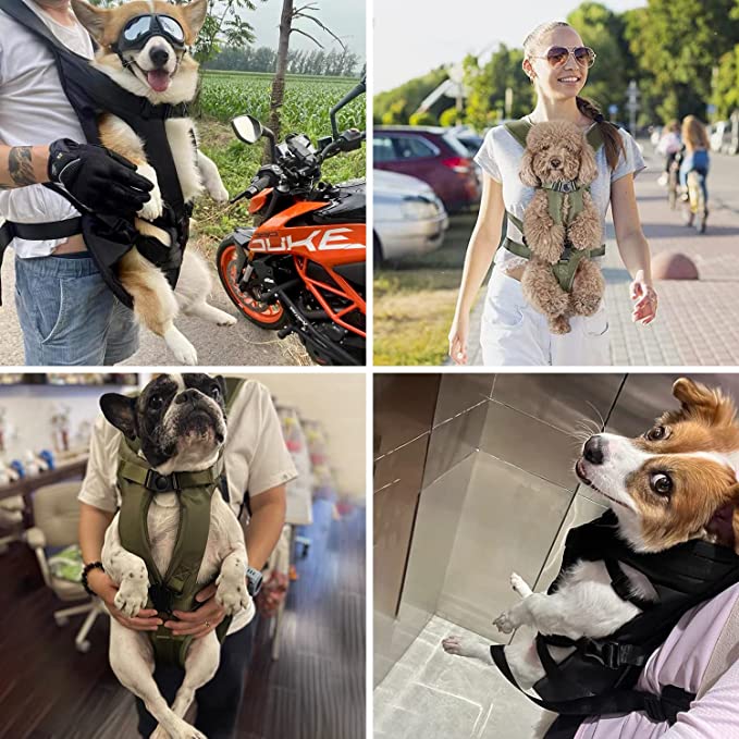 Hundetragetasche zum Schultern | Gepolsterte Träger, Verstellbar | Hände Frei | PawCarry