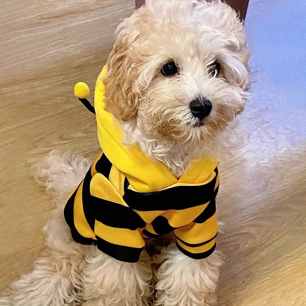 Kostüm-Hoodie mit Bienen-Design für Hunde und Katzen | Weiches Fleece mit Kapuze | Warm, Flexibel und Bequem im Winter