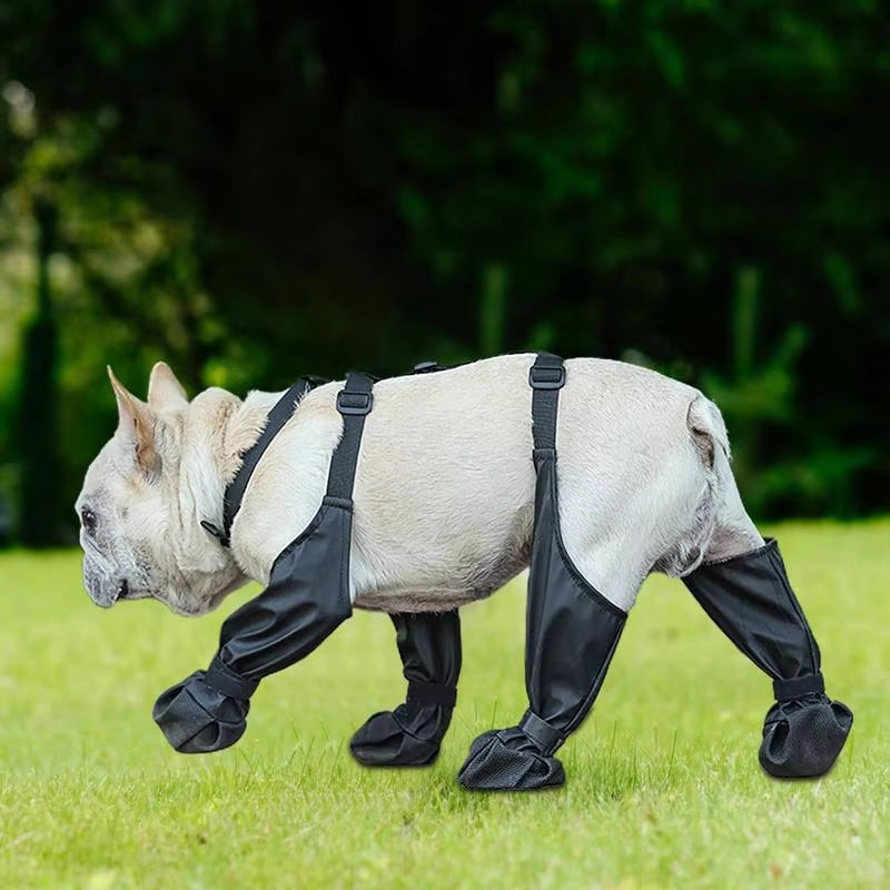 PawGrip™ | Wasserdichte Hundestiefel mit Gummisohle