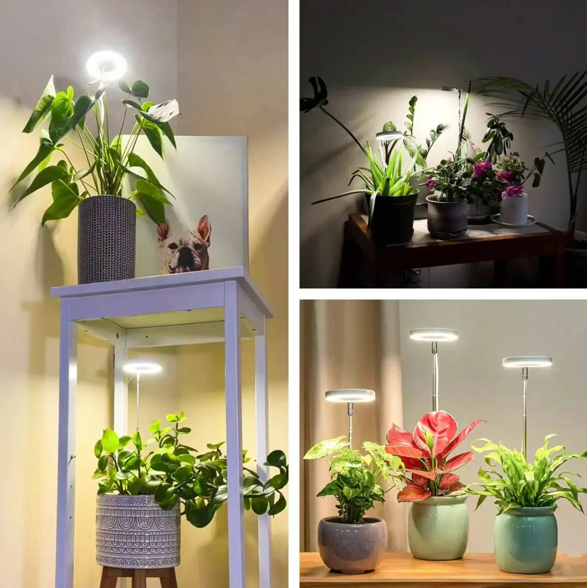 Pflanzenlampe | Vollspektrum Wachstum Licht | Timer und Dimmfunktion | PlantGlow