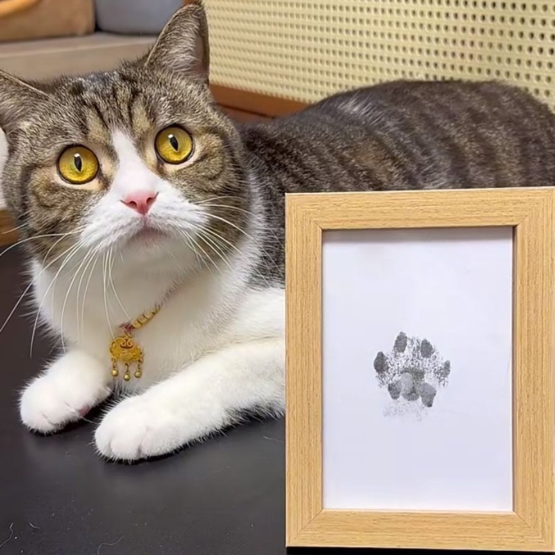 💖🐶🐱Pfotenabdruck-Kit