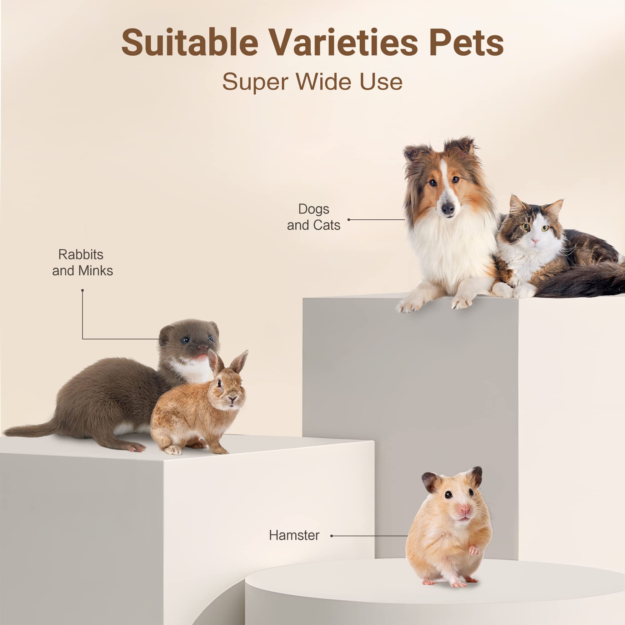 PurePaw™ 4-in-1 Pflege-Set — Ruhige, sichere Pflege, die Ihre Bindung vertieft