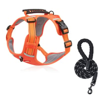 Reflektierende Hundeweste ohne Zug | 360° Reflektiv & Verstellbar | Größen XS-XL | Stridewell
