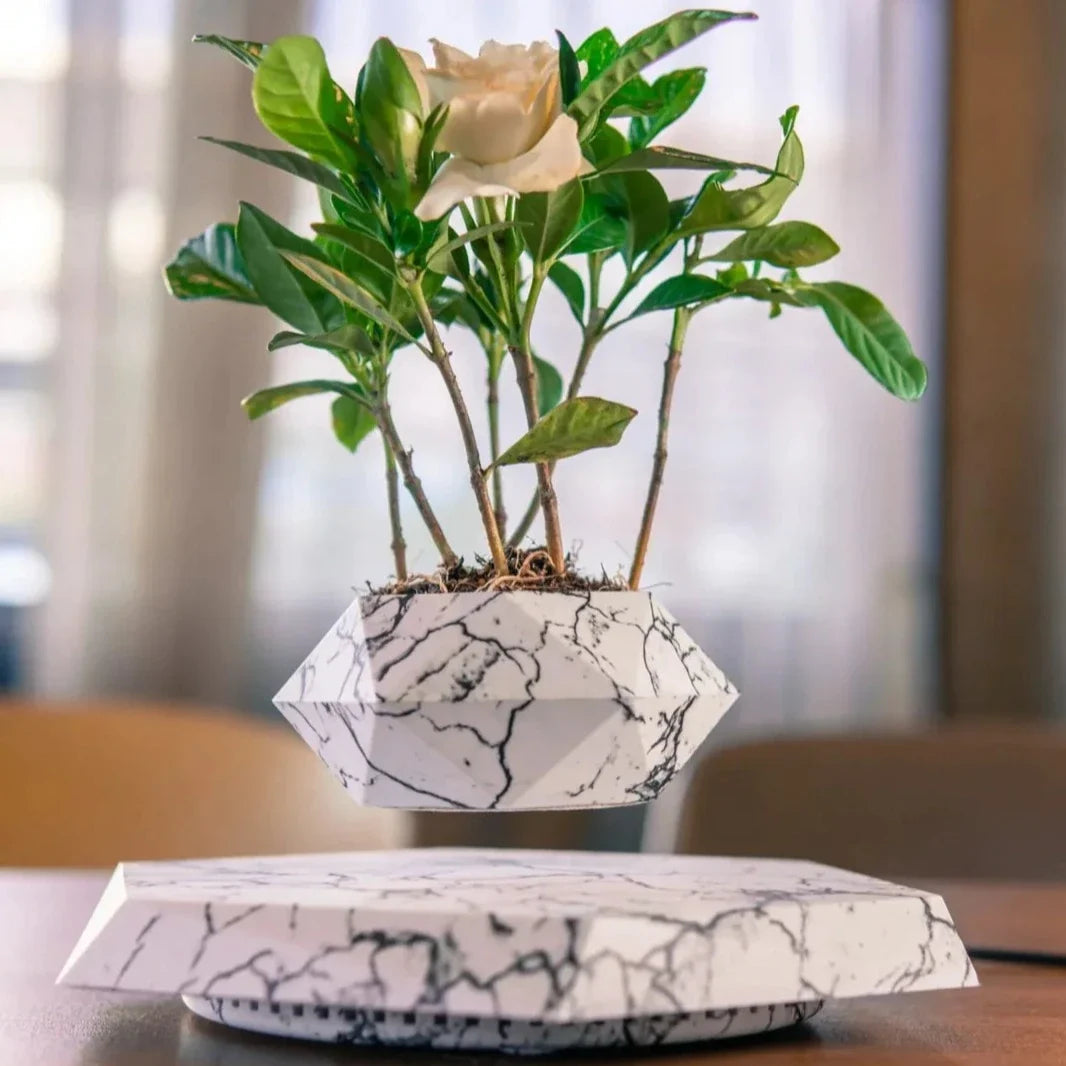 Schwebender Blumentopf mit Magnetschwebetechnik | 360-Grad-Rotation | Platzsparende Deko für Wohnzimmer und Büro