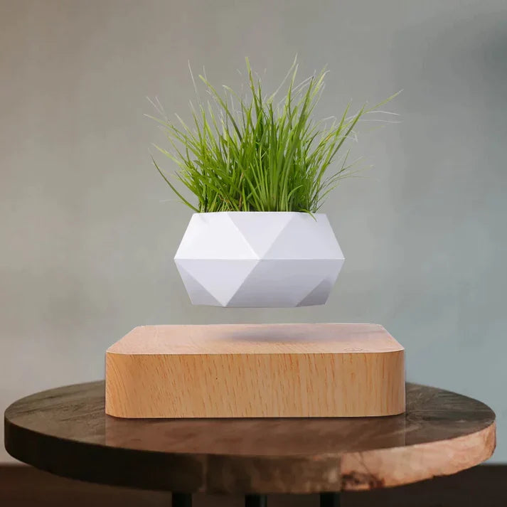 Schwebender Blumentopf mit Magnetschwebetechnik | 360-Grad-Rotation | Platzsparende Deko für Wohnzimmer und Büro
