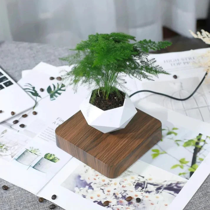Schwebender Blumentopf mit Magnetschwebetechnik | 360-Grad-Rotation | Platzsparende Deko für Wohnzimmer und Büro
