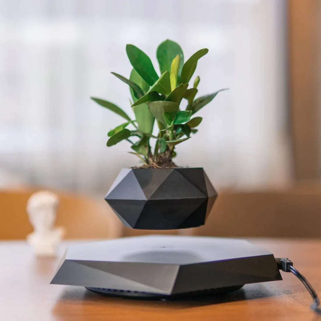 Schwebender Blumentopf mit Magnetschwebetechnik | 360-Grad-Rotation | Platzsparende Deko für Wohnzimmer und Büro