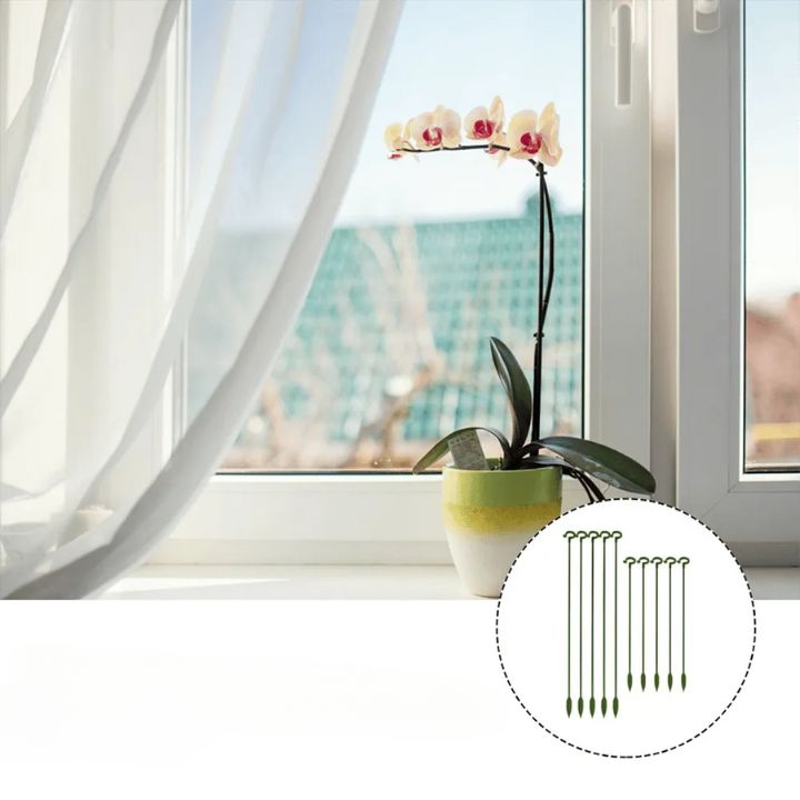 Stabile Rankhilfe für Blumen & Gemüse | Wetterfest & werkzeuglos | Orchideen & Tomaten | StemRise