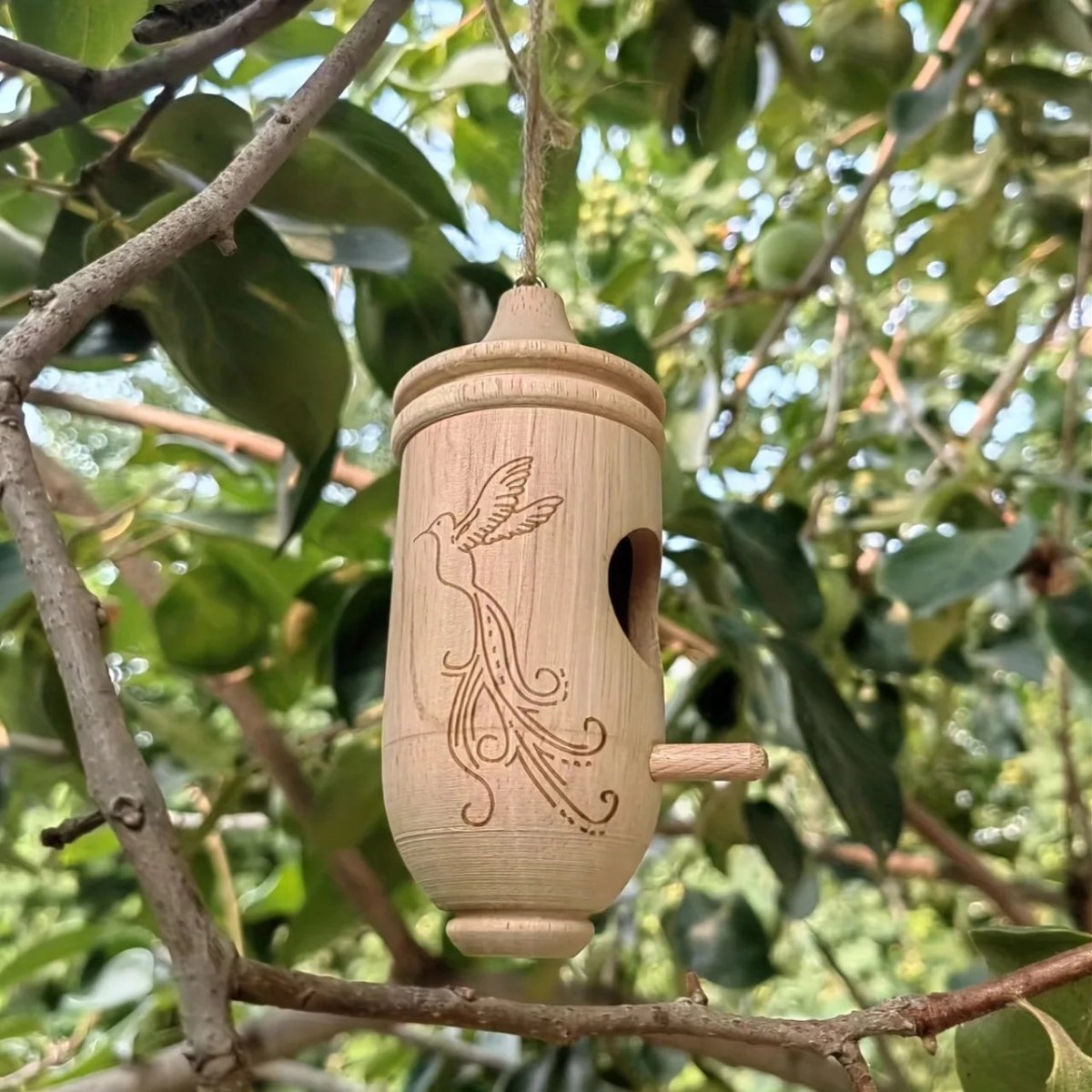 Vogelhaus Holz Hängend 3er-Set | Eingravierte Motive | Nisthaus Garten | BirchHaven
