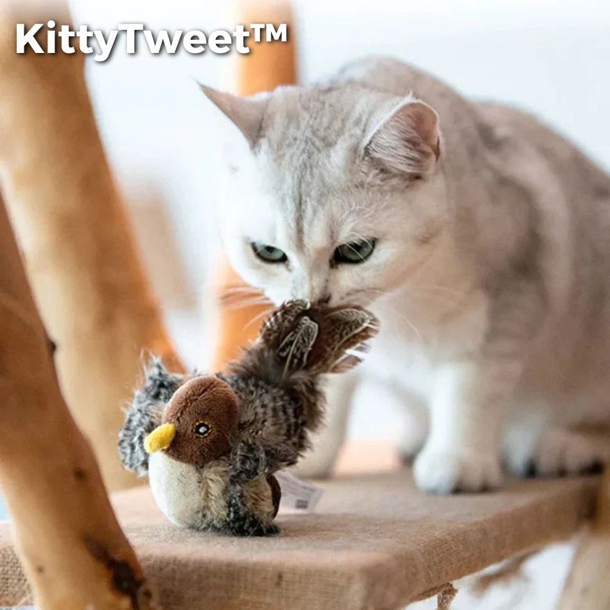 Vogelspielzeug Katzen Hunde Plüsch Spielzeug mit Geräuschgenerator 2