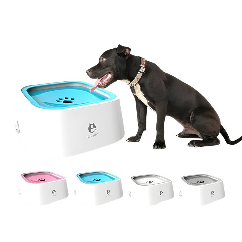 Wassernapf | Auslaufsicher | Schwimmender Rand | Pawclean