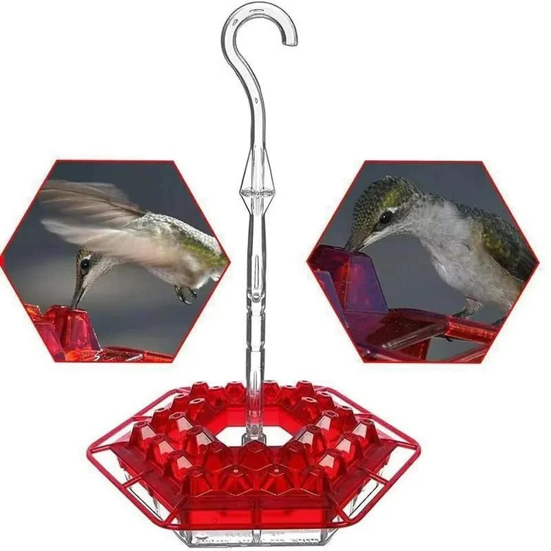 Kolibri-Futterspender Polycarbonat, 30 Öffnungen | Ameisensicher mit Wassergraben | UV-beständig, wetterfest, zum Aufhängen 6