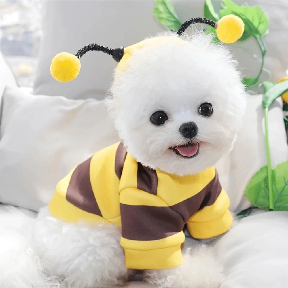 Kostüm-Hoodie mit Bienen-Design für Hunde und Katzen | Weiches Fleece mit Kapuze | Warm, Flexibel und Bequem im Winter