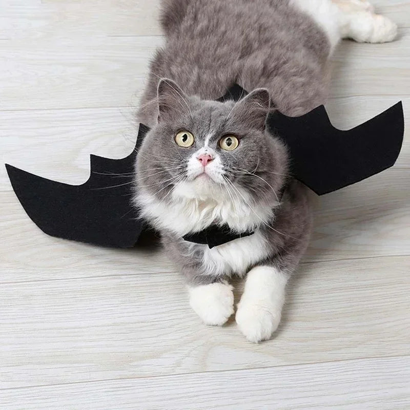 Haustier Kostüm Fledermausflügel Halloween | Verstellbar für Katzen und Hunde | Leichter Filzstoff, atmungsaktiv 5