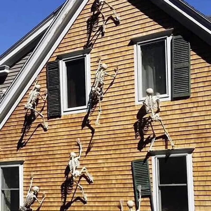 Lebensgroßes Posierbares Skelett Halloween Deko | Bewegliche Gelenke für individuelle Posen | Kunststoff, Innen & Außen geeignet 2