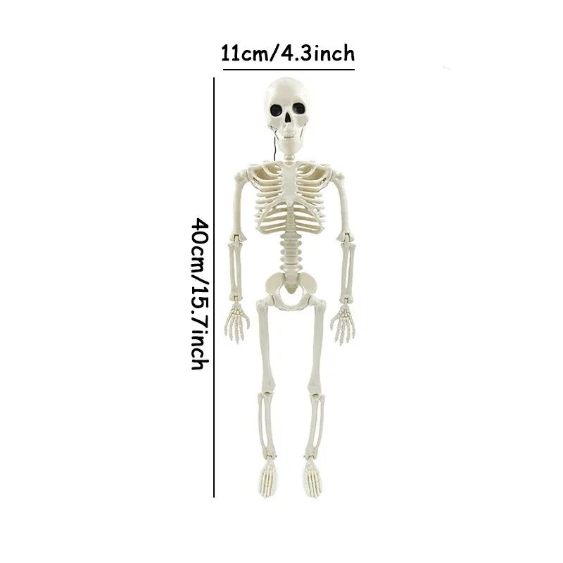 Lebensgroßes Posierbares Skelett Halloween Deko | Bewegliche Gelenke für individuelle Posen | Kunststoff, Innen & Außen geeignet 6