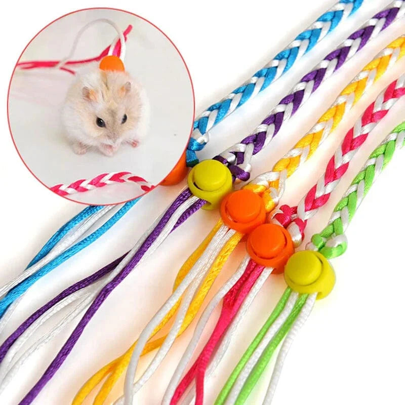 Kleintier Geschirr-Leine Nylon | Verstellbarer Brustgurt mit transparenter Schnalle | Sicherer Halt für Hamster, Ratte, Maus 1