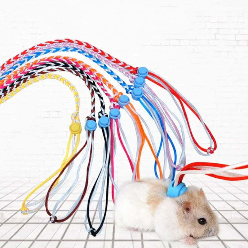 Kleintier Geschirr-Leine Nylon | Verstellbarer Brustgurt mit transparenter Schnalle | Sicherer Halt für Hamster, Ratte, Maus 6